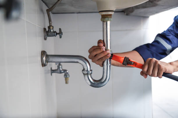 Best Local Plumber Services  in Altoona, IA